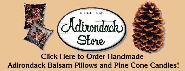 Visit The Adirondack Store